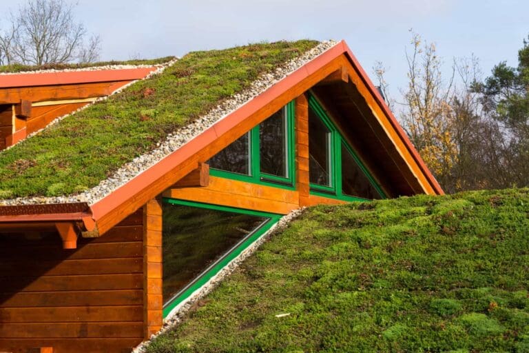 Innovative Green Roofing Options